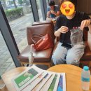 검상 | 그들이 전주로 온다 검상소(전주 여행)