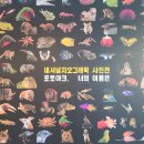 내셔널지오그래픽 진주점 | [경남 진주] 내셔널 지오그래픽 '너의 이름은' 후기