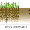 경도상사 레저신문