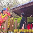 🌺 "완산칠봉꽃동산" 걸어서구경하기 🌺 4월의명소 전주시꽃동산 [ 전국명소탐방71 ] 이미지