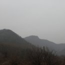 두리봉 티스토리