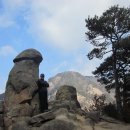 제천 동산 산행후기