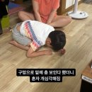 덤덤충의 6월 (1)