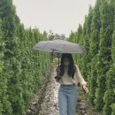 #45, 2020.09.05-2020.09.08 제주 여행