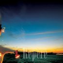 바다속이야기 이미지