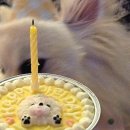 냥냥쩝쩝 이미지