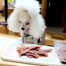 (주)씨원덴탈 | 강아지간식 리얼 푸드덕 별달빵이 먹어본 후기