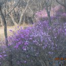 찰리공인중개사사무소 이미지