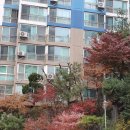 성현동-25 이미지