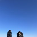 [강원도 평창] 대관령 삼양목장 당일치기 with 멋진 타조