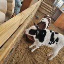 상기목장 이미지