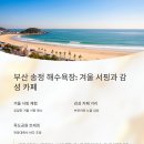 바다 - 세종특별자치시 도움8로 11-11 | 바다