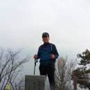 평호 이미지