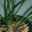 자산동011 이미지