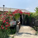 스테이 장성 이미지