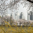 덕풍천동로 이미지