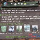 해법 행정사사무소 이미지
