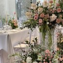 한비하우스 이미지