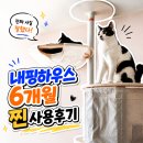 고양이 캣폴 추천 다묘집에 튼튼한 아이언봉 내핑하우스 6개월 실사용후기