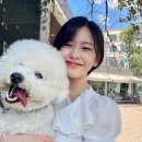 댕스타 이미지