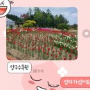 J.아이블링 이미지