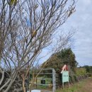 금오름농장 이미지