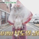 등대홍어맛집 이미지