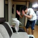 Y트레이닝센터 이미지