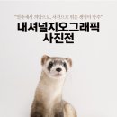 내셔널지오그래픽 이미지
