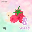 04-4 임신일기 8주/ 산전검사 및 8주 5일 초음파, 입덧약 후기