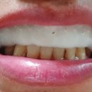 K&M DYNASTY 이미지