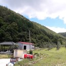 청송나무집 이미지