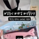 럭키피시 이미지