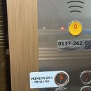 더 엘 관광호텔 | 강남역마사지 고급호텔스파 강남커플마사지 스파엘본점 완전 강추