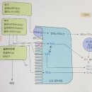 고급영양학 chapter 9. 미량무기질(철, 아연, 구리, 요오드, 불소, 셀레늄, 망간, 크롬 이미지