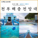 천부해중전망대 | 울릉도 자유 여행 코스 가볼만한곳 천부해중전망대 입장료 후기 추천