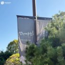 S1472 특별전 두 번째 생각 ; on second thought | 안양박물관 특별기획전 &lt;삼성기유첩:그림으로 걷는 안양&gt; 전시회 후기