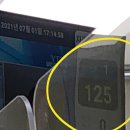 카페이플로르