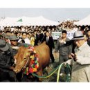 정주영농장 이미지