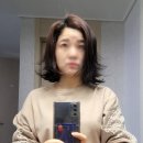 MOTOR LEND(모터랜드) | 접이식 헤어드라이기 JMW 프리고 드라이기로 휴대도 간편 여행지에서도 만나는 헤어드라이기 추천해요~