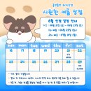 하찌상점