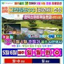 (주)칸렌트카 이미지