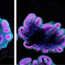 전구인간 이미지