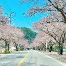 삼척IC 이미지