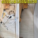 도시 강아지 | 송도신도시오피스텔 퇴거청소후기|강아지털제거충격적인현장후기|퇴거청소