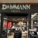 대화센터-001 | 광화문 찻집 추천, 다만프레르 내돈내산 후기! 프랑스 명품 홍차의 여유