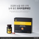 마임 동부지사