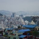 미사아미의원 네이버블로그