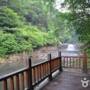 국립 백운산 자연휴양림 이미지