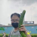 원예공감 이미지